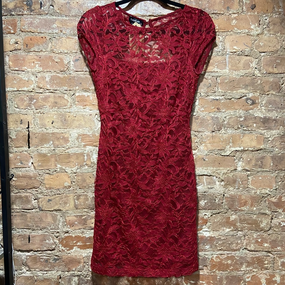 #134 Lace Fitted Dress View 2